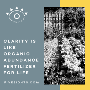Quote "Clarity Is like organic abundance fertlizer"